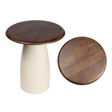 Skye 18" Modern Rustic Wood/Metal Accent Table